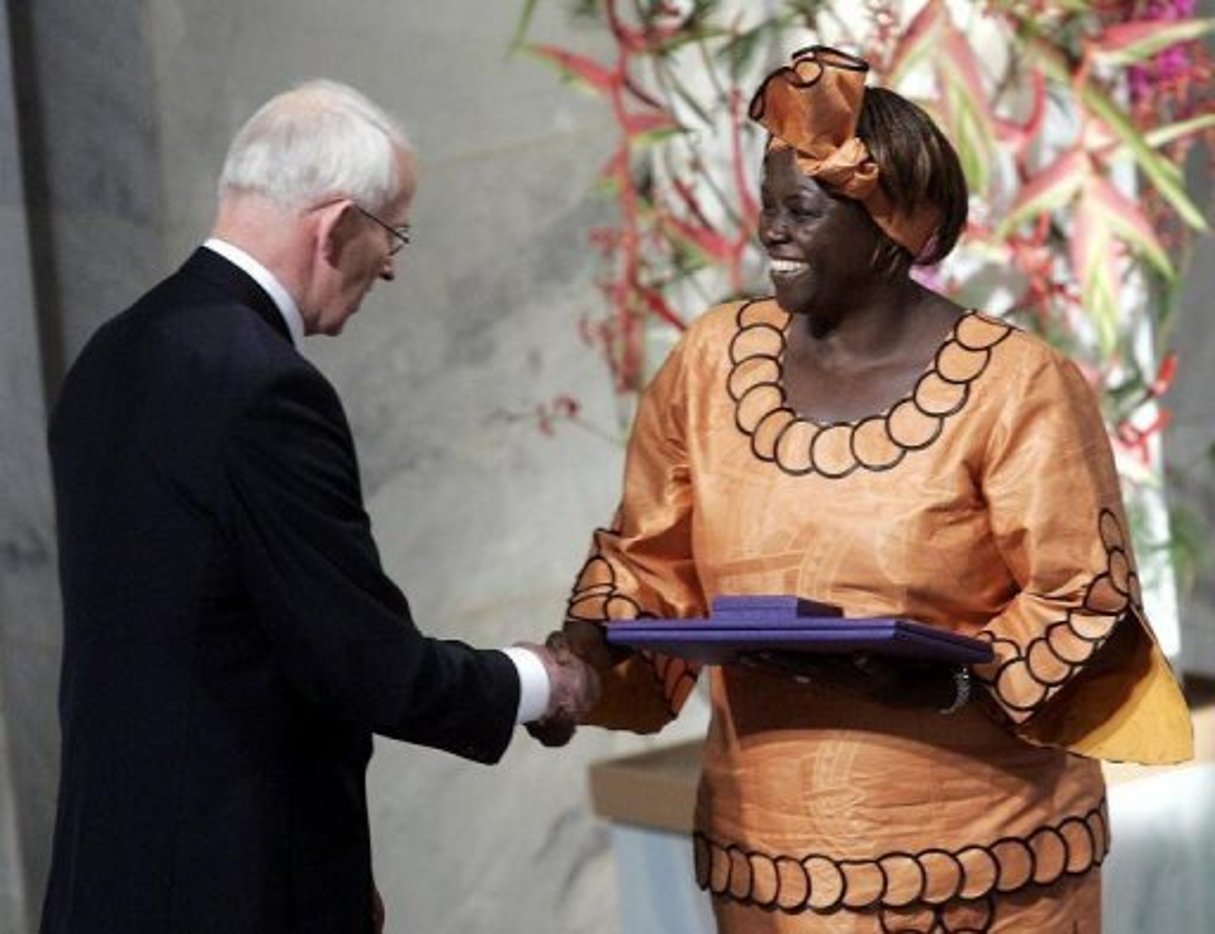 Wangari Maathai, pionnière africaine de la lutte contre le changement climatique © AFP