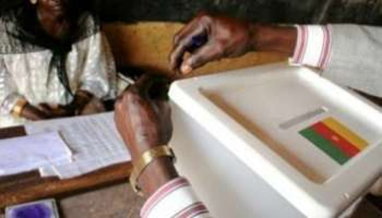 Les Camerounais étaient appelés à voter le 9 octobre. © AFP/Martin Van der Belen