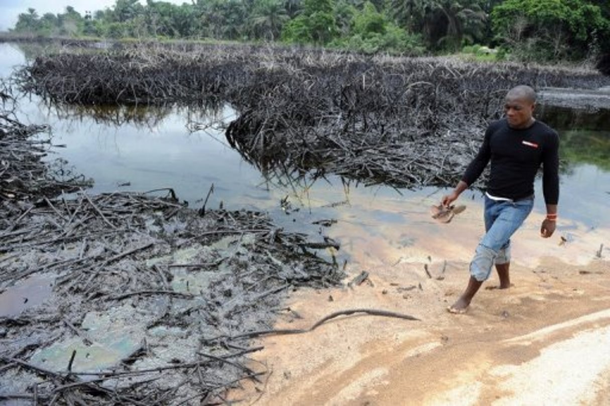 Amnesty: Shell doit payer 1 milliard de dollars pour nettoyer le Delta du Niger © AFP