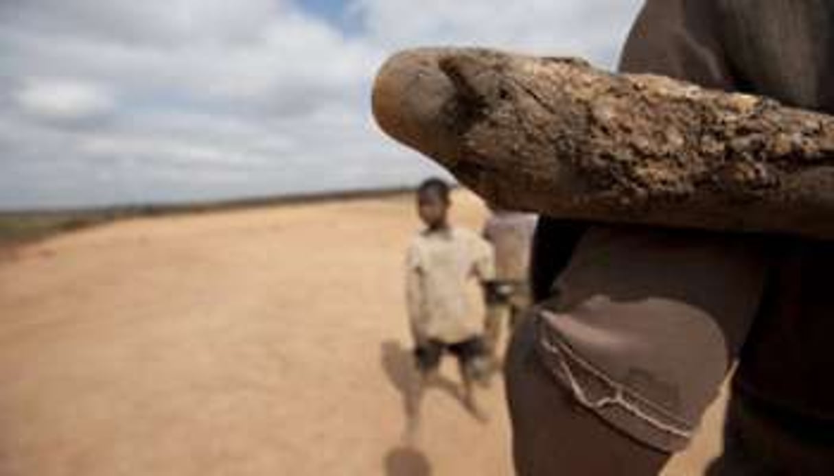 Le Mali exporte chaque année près de 4 tonnes d’or artisanal. © Alexander Joe/AFP