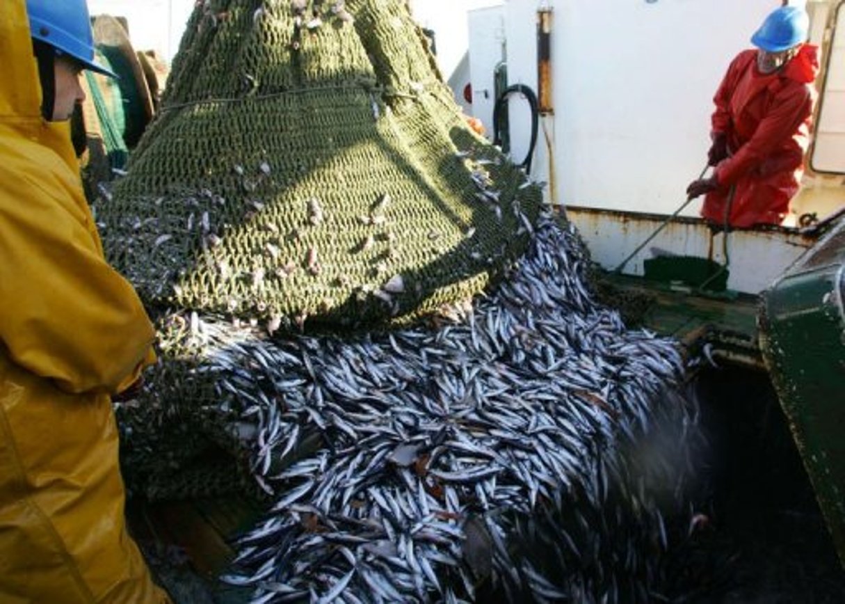 Rabat et Madrid en colère après le blocage d’un accord de pêche contesté © AFP