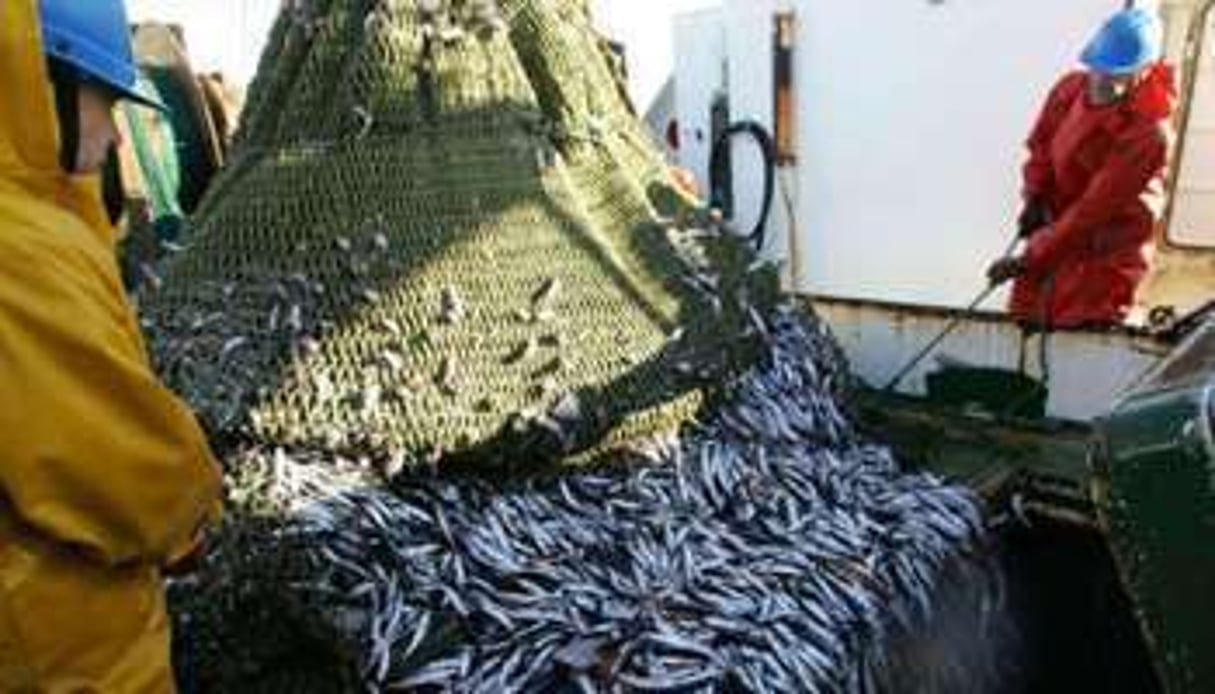Le 14 décembre, le Parlement européen a rejeté un accord de pêche entre l’UE et le Maroc. Lire © AFP