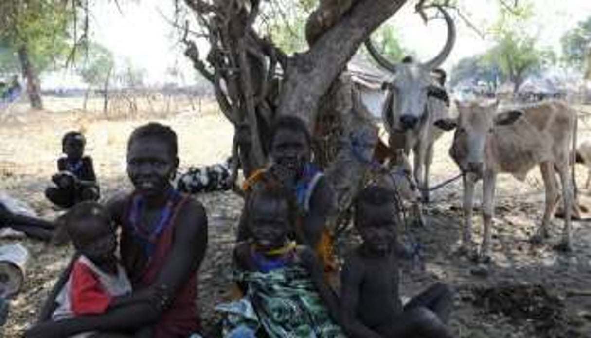 Des déplacés, à Pibor dans l’Etat de Jonglei, au Soudan du Sud, le 5 janvier 2012. © Issac Billy/AFP/ONU