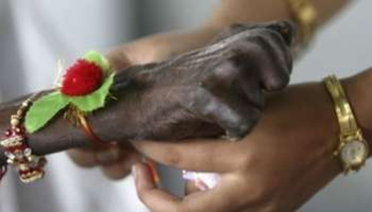 La lèpre fait partie des dix maladies tropicales négligées ciblées par le nouveau partenariat. © Rupak De Chowdhuri/Reuters