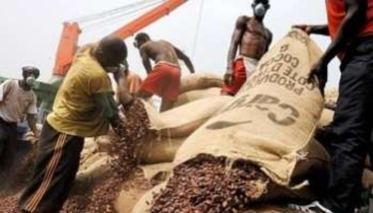 La réforme de la filière café-cacao suscite l’opposition de certaines compagnies internationales. © AFP