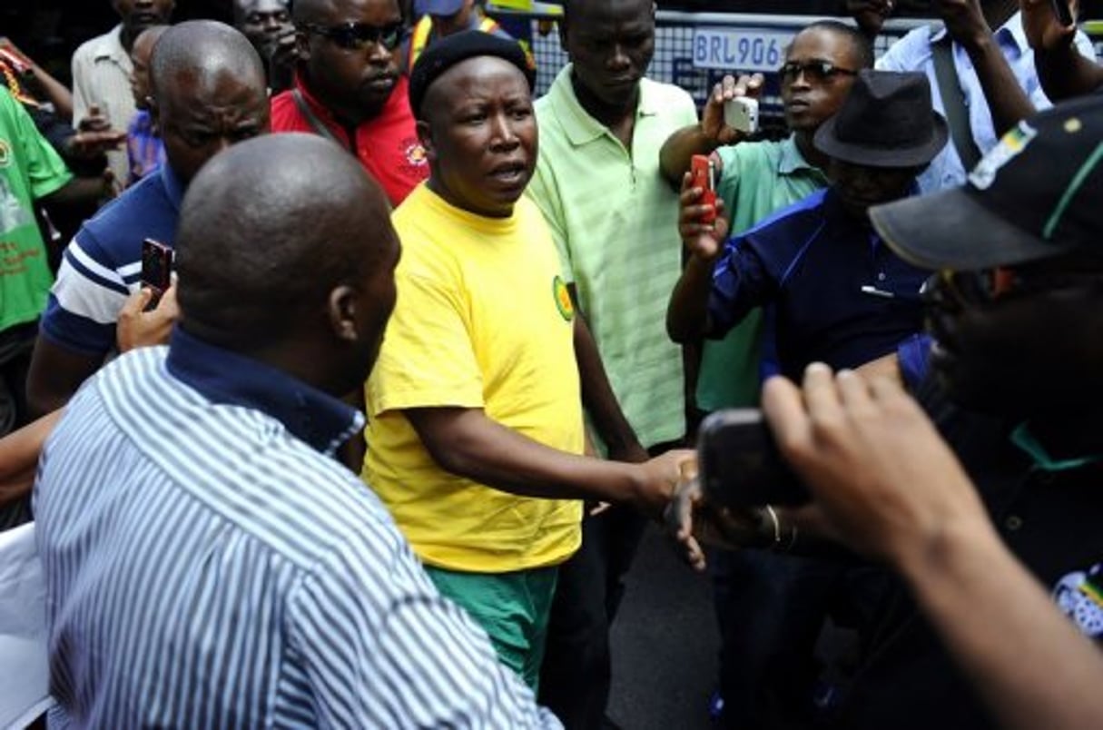 Afrique du Sud: Julius Malema réclame à nouveau l’expropriation foncière des Blancs © AFP