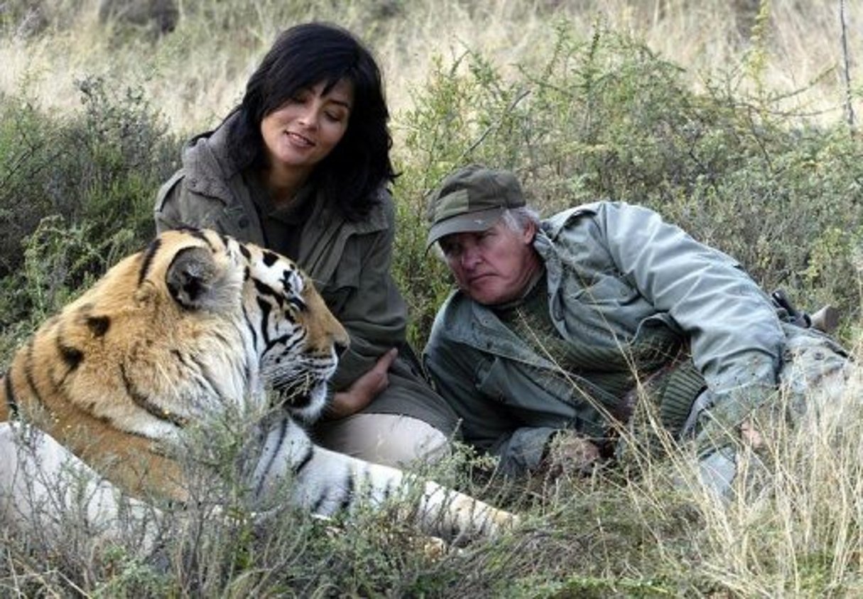 Afrique du Sud: un spécialiste des félins attaqué par un tigre dans sa réserve © AFP