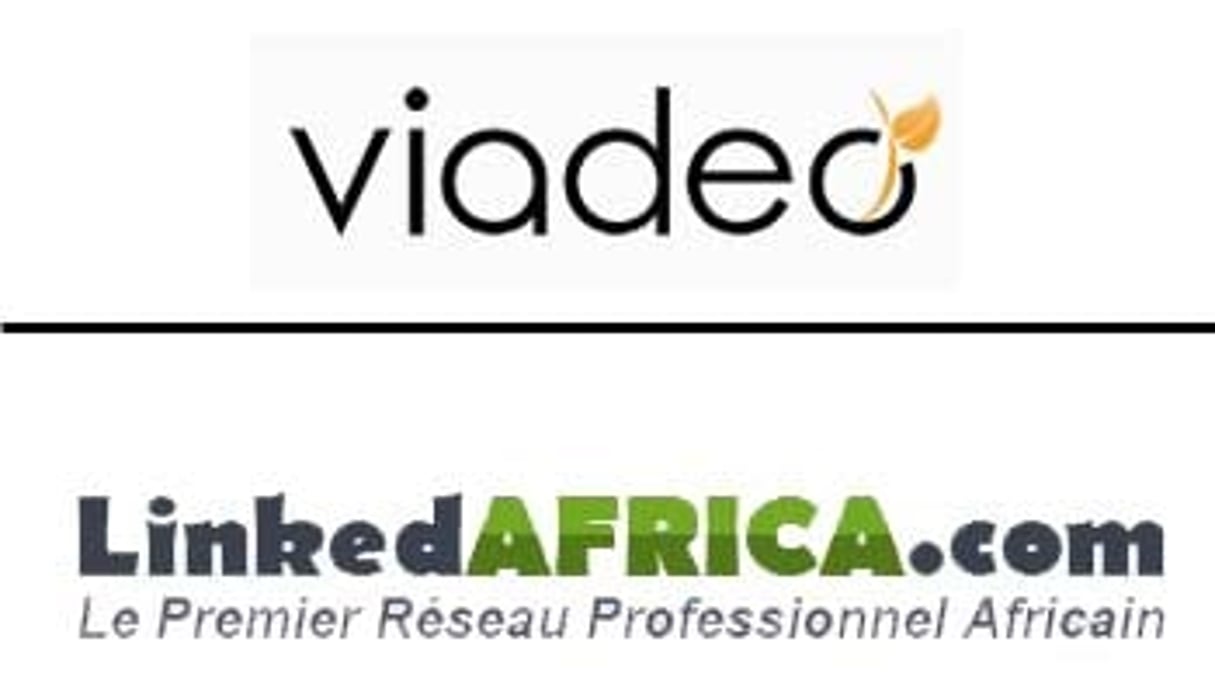 Viadeo comme LinkedAfrica attirent surtout des cadres.