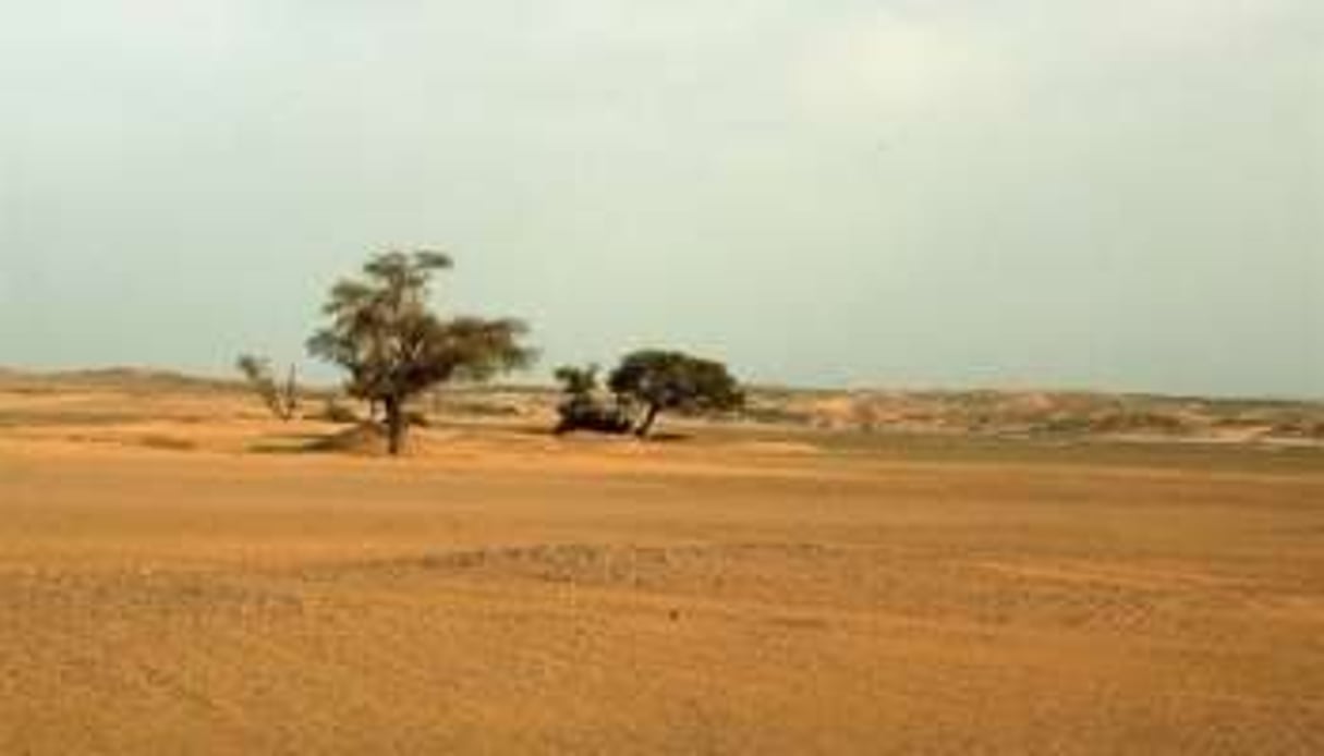 Le désert au sud de l’Algérie, dans la région de Djanet. © Hocine Zaourar/AFP