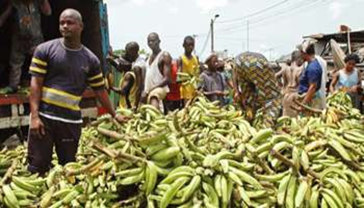 Avec 550 000 tonnes exportées, l’Afrique (ici en Côte d’Ivoire) reste loin des Amériques. © STR/AP/SIPA