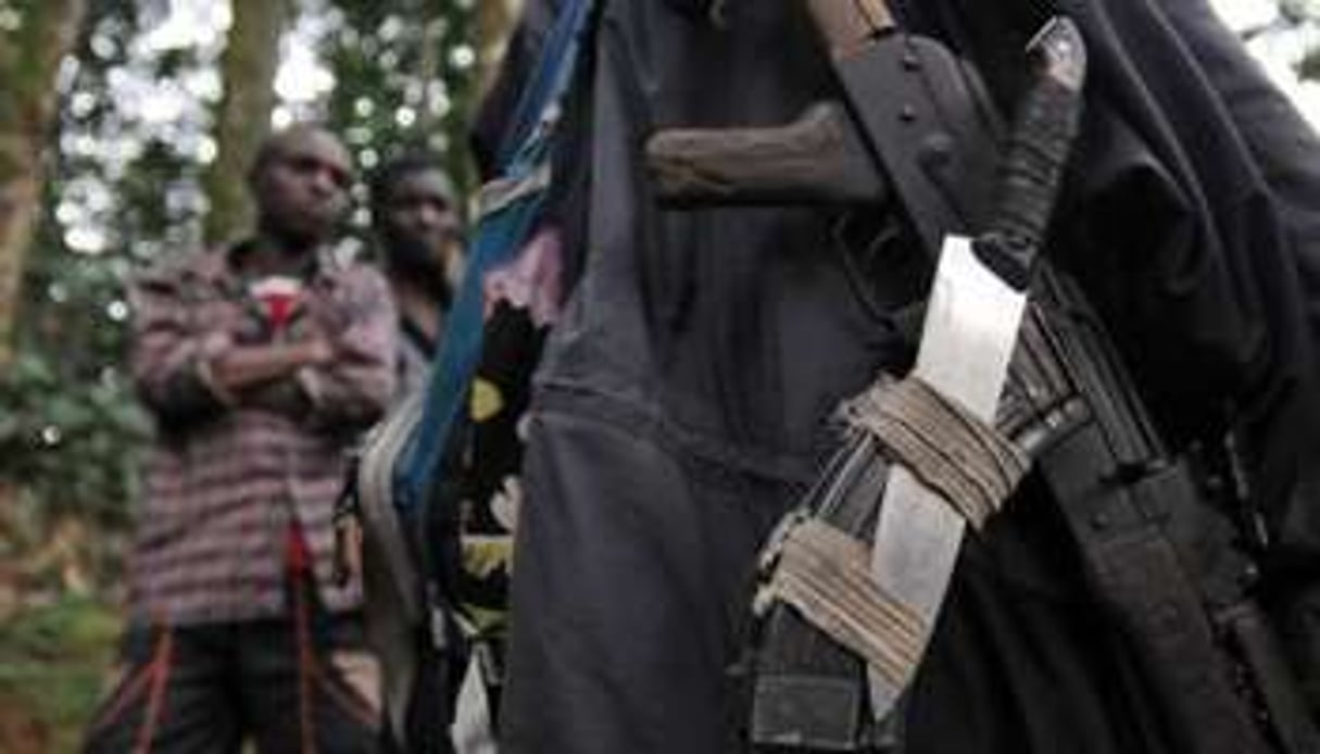 Des rebelles des Forces démocratiques de libération du Rwanda en 2009 à Pinga, en RDC. © AFP