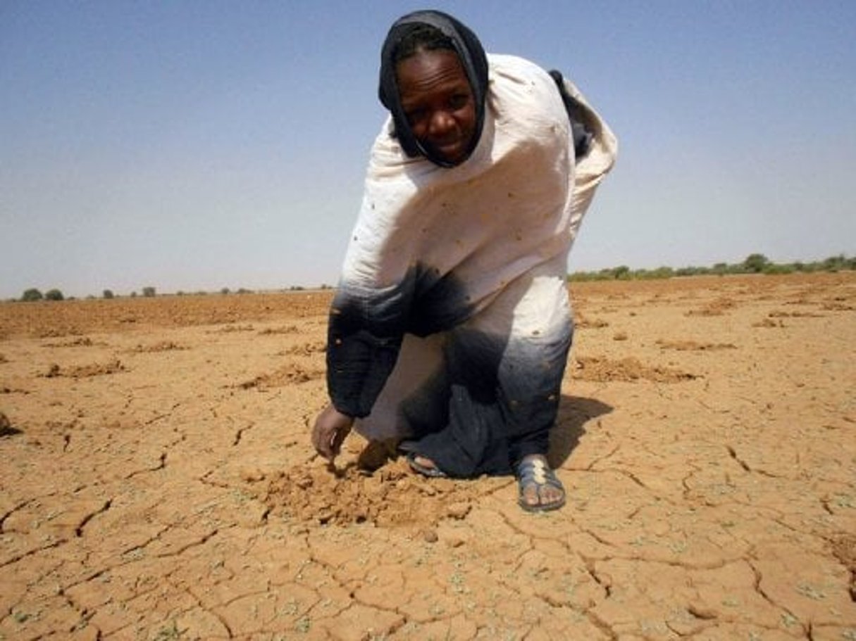 Sécheresse au Sahel: situation « critique » dans les prochains mois selon l’ONU © AFP