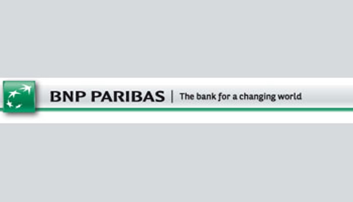 BNP Paribas est encore présent dans douze pays africains. © BNP Paribas