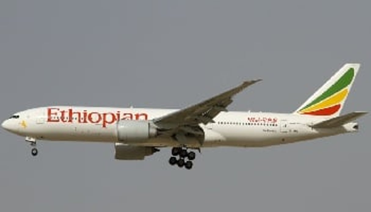 Sur le dernier exercice, la compagnie aérienne Ethiopian Airlines a augmenté son trafic de 30%. © Konstantin von Wedelstaedt