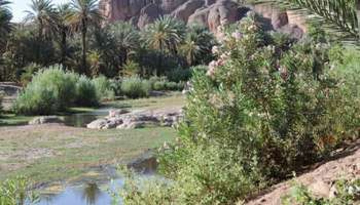 Une oasis de la région de Ouarzazate, au Maroc, le 13 juin 2012. © AFP