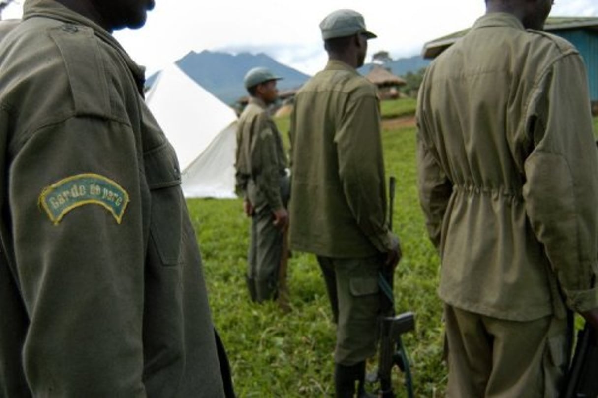 RDC: 7 hommes et des okapis tués dans l’attaque d’une réserve © AFP