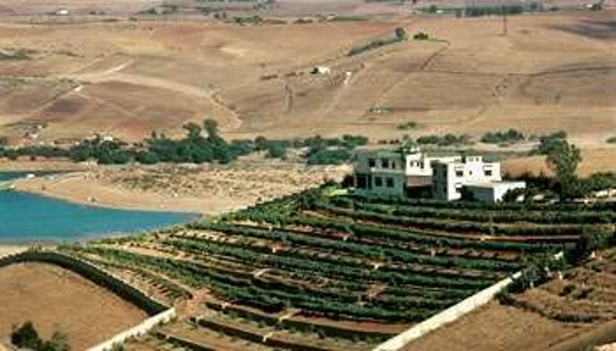 La croissance économique marocaine reste très dépendante de l’agriculture et donc des conditions climatiques. © DR