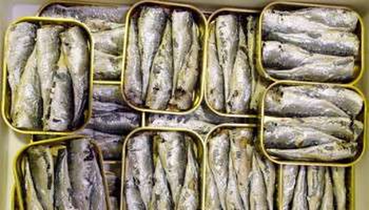 Des boîtes de sardines. © AFP