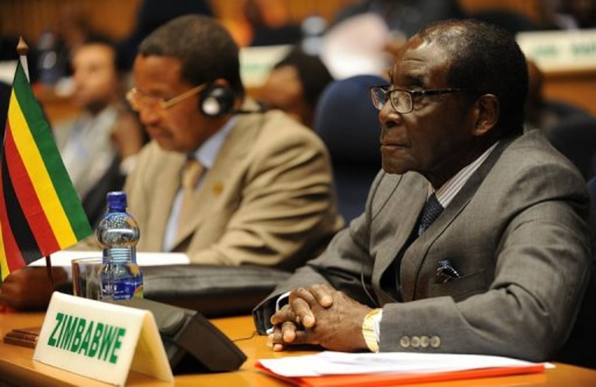 Zimbabwe: le projet de nouvelle Constitution sort des limbes © AFP