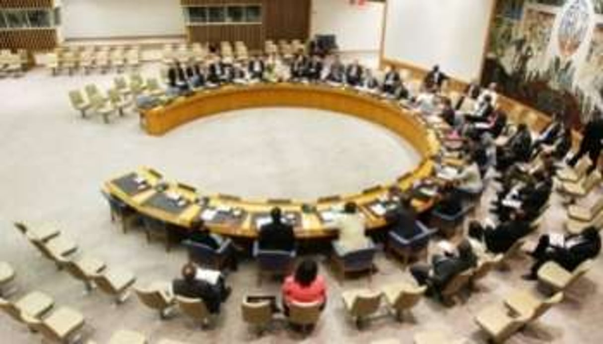 Une réunion du Conseil de sécurité de l’ONU, à New York, le 11 juillet 2011. © J.C. Mcilwaine/ONU/AFP/Archives