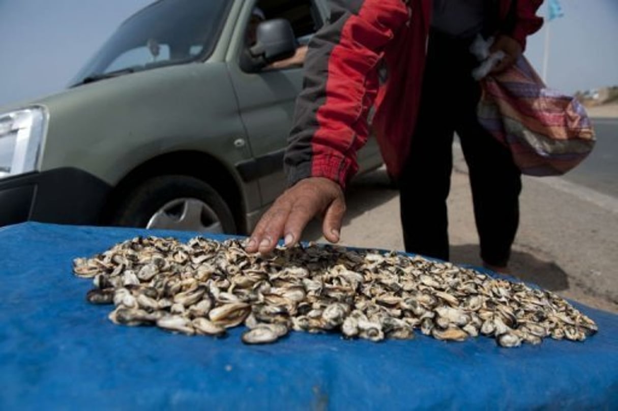 Maroc: le braconnage du littoral menace l’écosystème marin © AFP