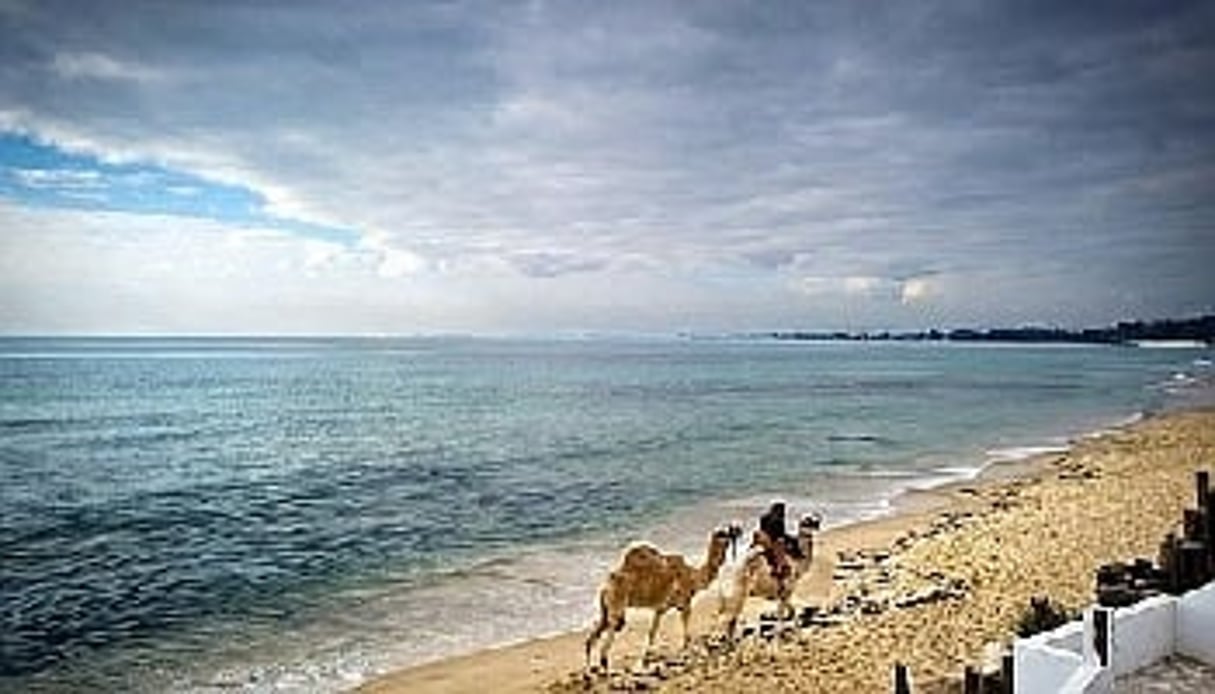 La plage de Hammamet, en Tunisie, classée 10ème destination balnéaire d’Afrique par les internautes du site Tripadvisor. © AFP