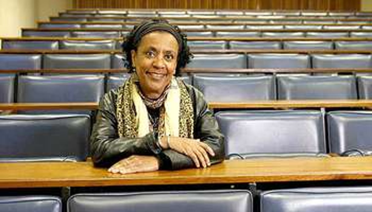 Romancière, professeur à l’université du Witwatersrand. © Marc Shoul pour J.A.