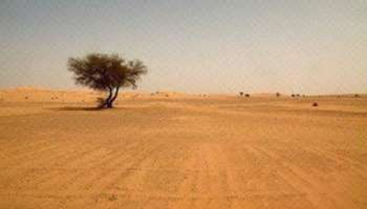 La Transaharienne pourrait bientôt passer au milieu des sables du Sahara. © AFP
