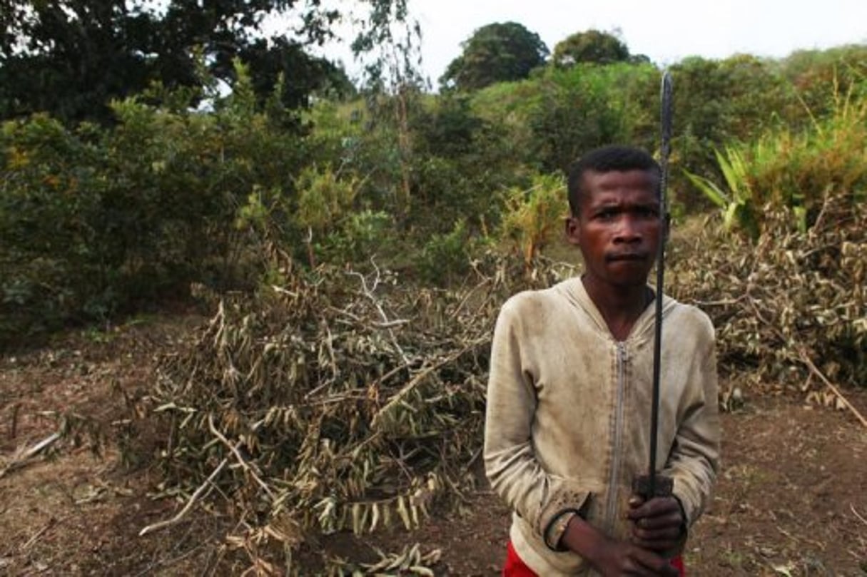 Madagascar: des villageois fiers d’avoir massacré des voleurs de zébus © AFP