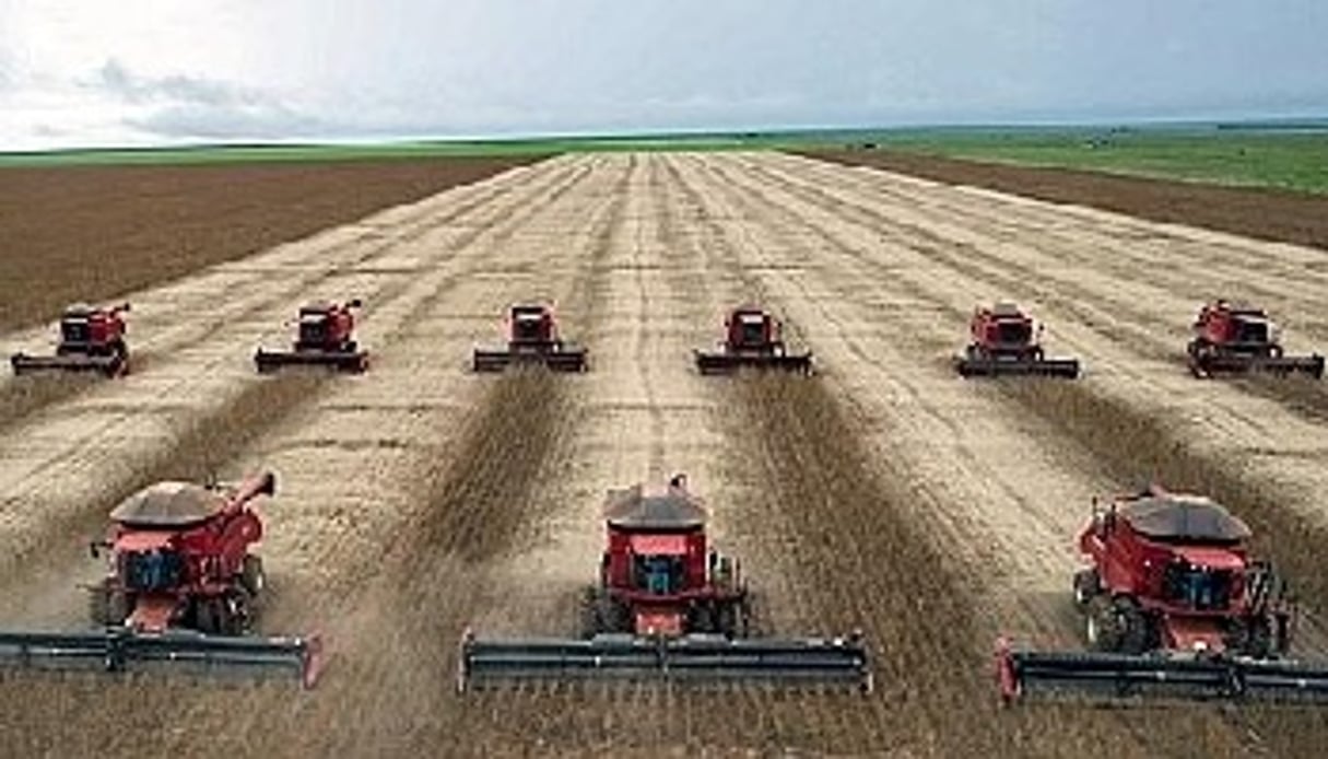 Le Brésil est devenu la ferme du monde et l’agriculture est l’un des domaines dans lequel il a beaucoup à apprendre à l’Afrique. © AFP