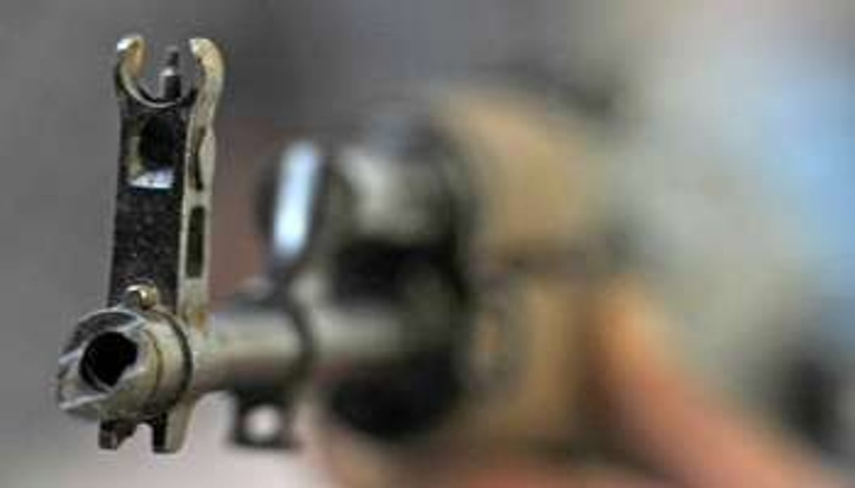 Un canon d’une arme à feu. © AFP