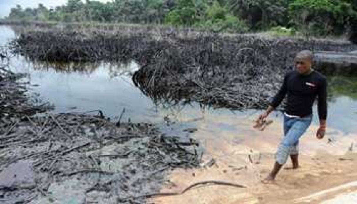 Le delta du Niger est touché par des marées noires à répétition. © AFP