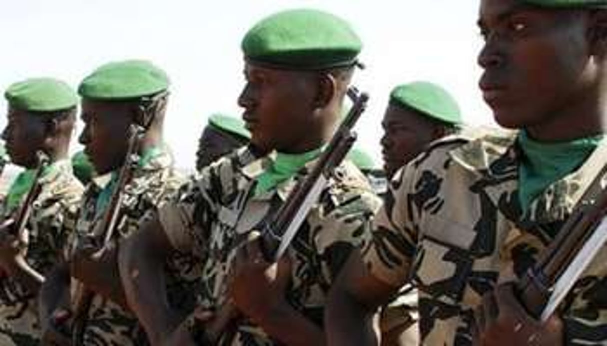 Une partie de l’armée malienne a besoin de formation pour intervenir dans le Nord désertique. © DR