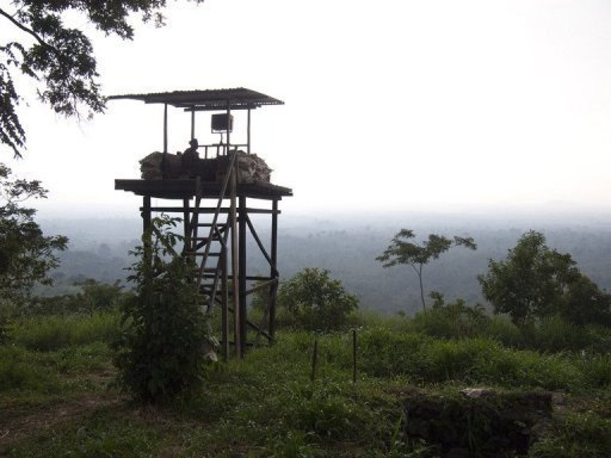 RDC: 8 morts lors d’une attaque de miliciens dans le parc des Virunga © AFP