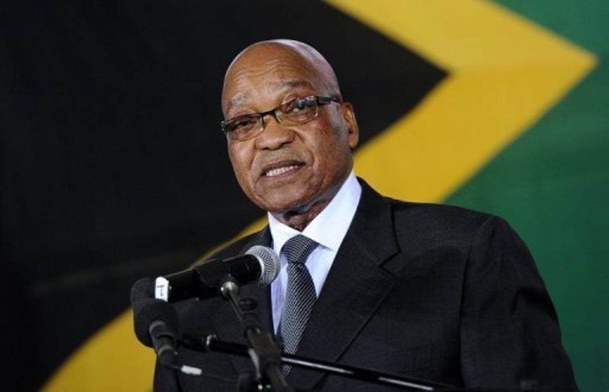 Afrique du Sud: le président Zuma renonce à poursuivre un caricaturiste © AFP