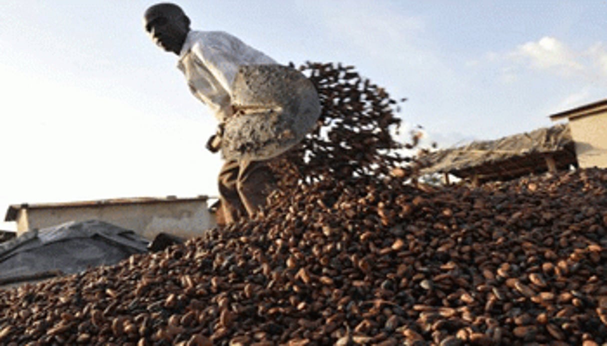 Sans financements, pas d’échanges commerciaux et donc plus d’exportations de produits agricoles (ici, du cacao). © AFP