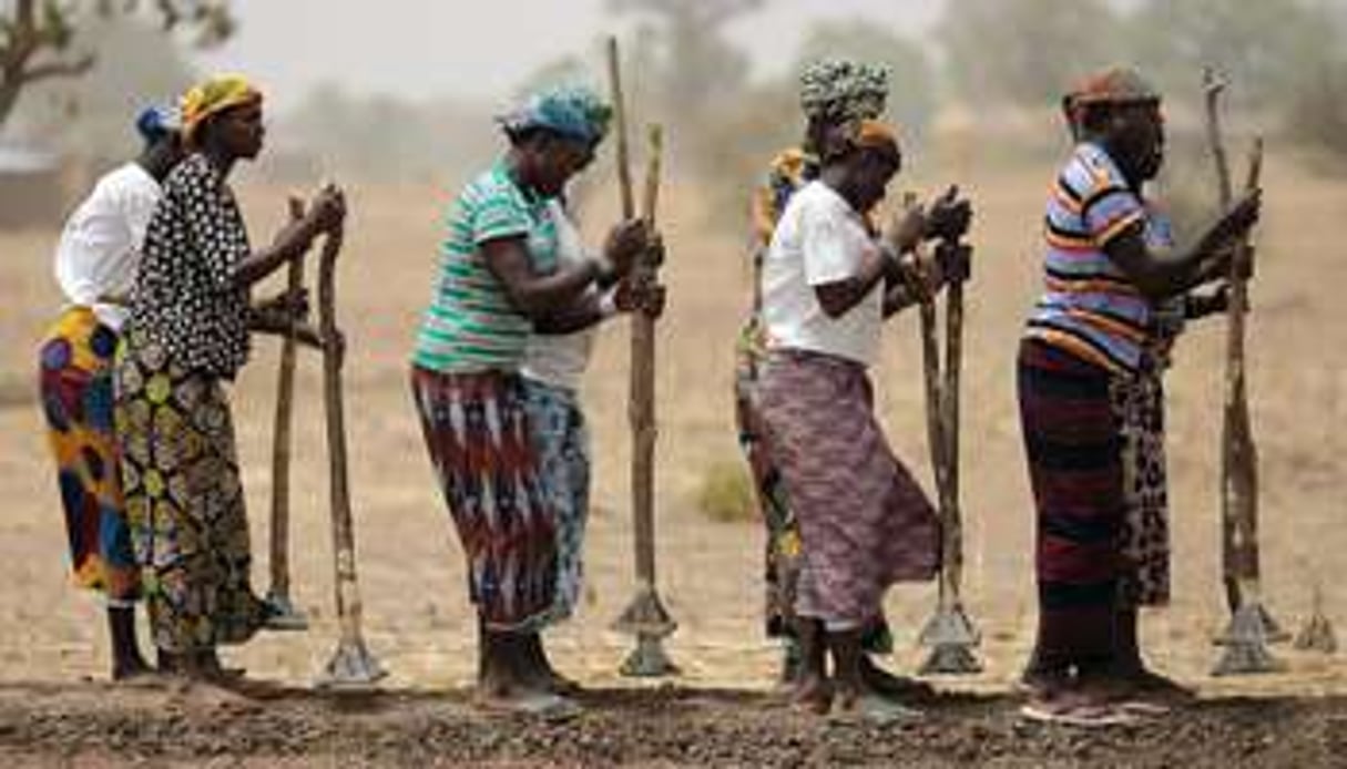 Des femmes au travail dans un champ au Burkina Faso. © AFP