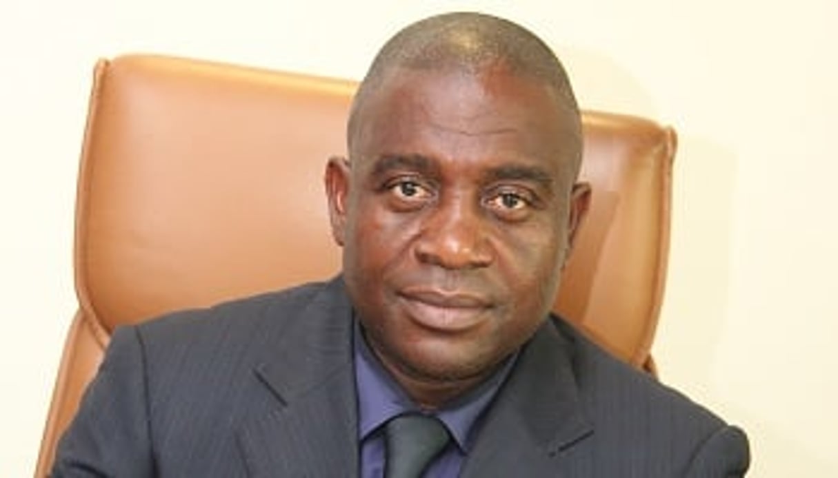 Rafael Tung Nsue Bilogo, 50 ans, a occupé plusieurs postes de 1993 à 2012 aussi bien en Guinée équatoriale qu’au sein des institutions de la Cemac. DR