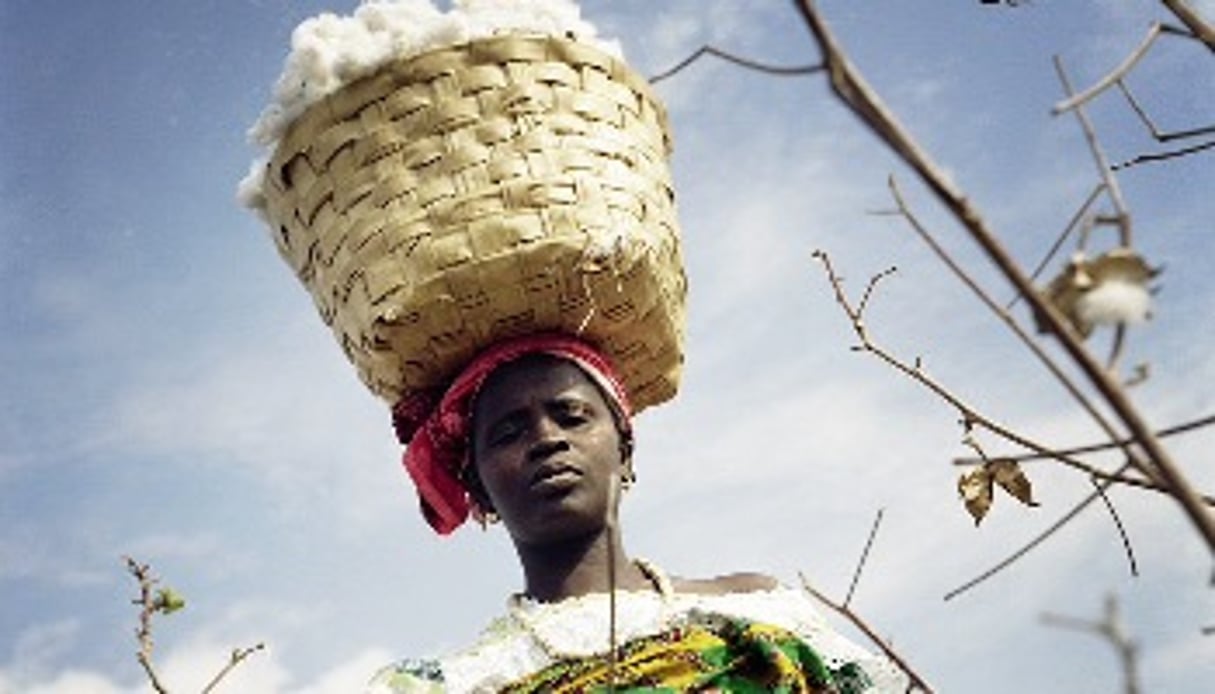 À Kédougou (sud-est du Sénégal), un village de la filière coton équitable. © Caroline Pottier/Le bar floréal