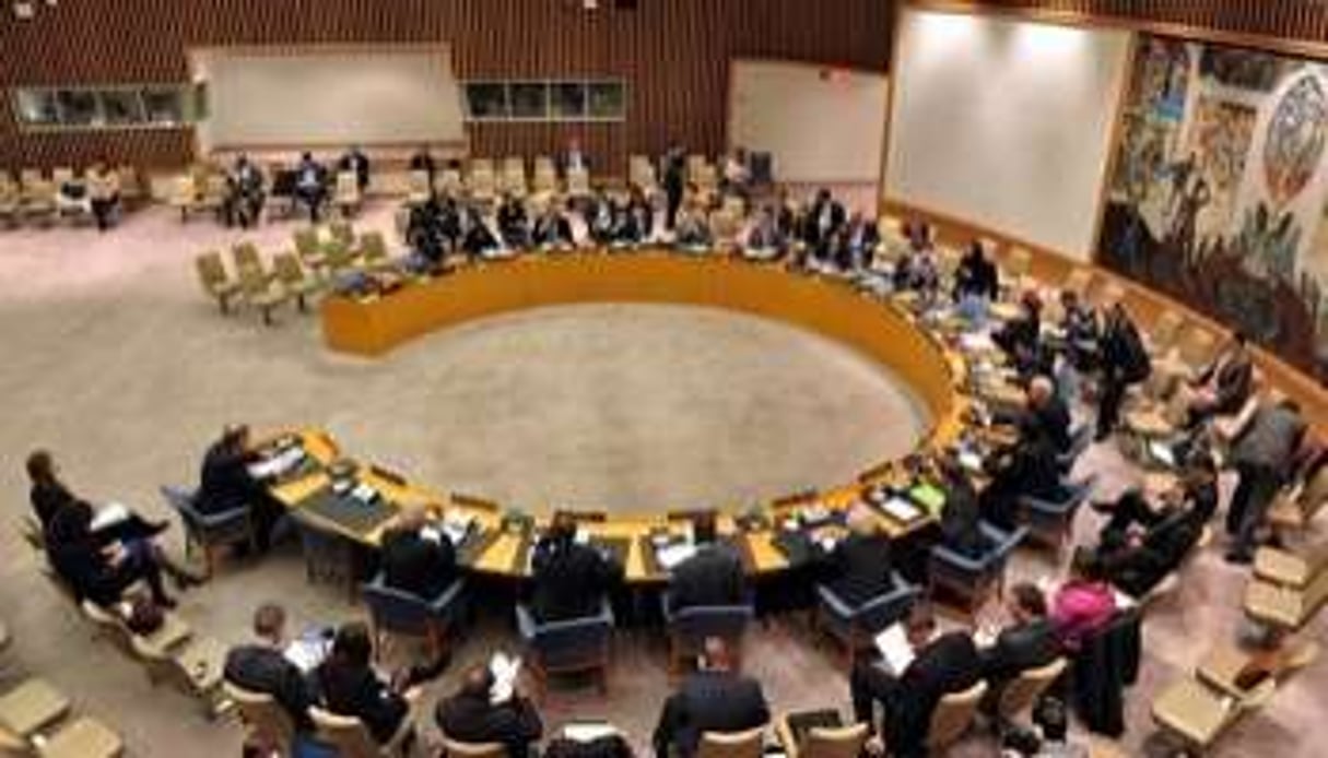 Le Conseil de sécurité de l’ONU, lors d’une réunion le 27 novembre 2012 à New York. © AFP