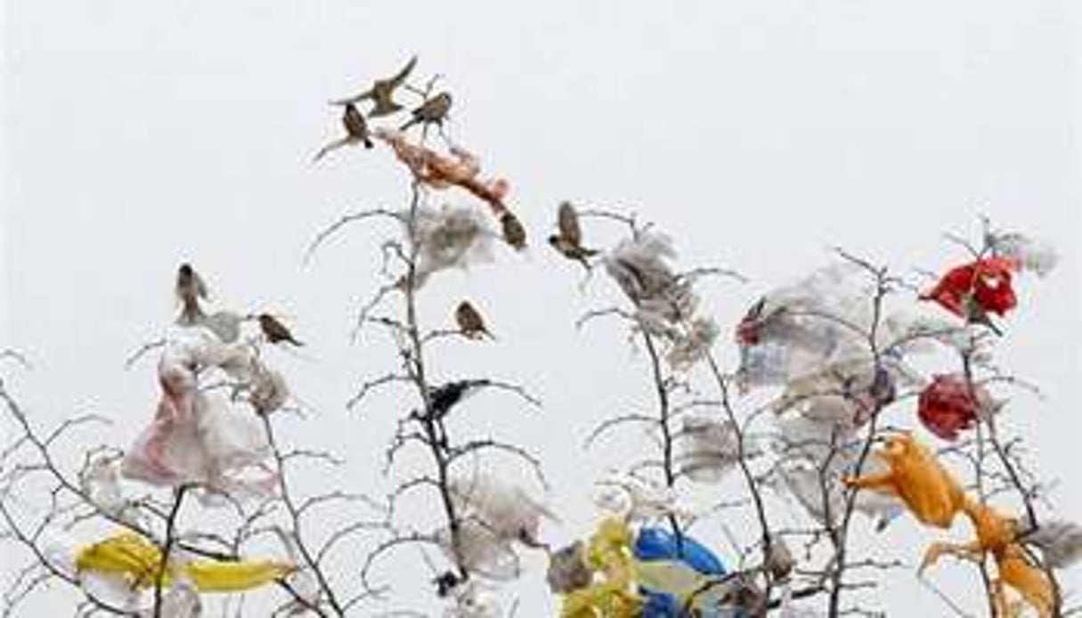 L’interdiction des sacs plastiques est un défi. © AFP