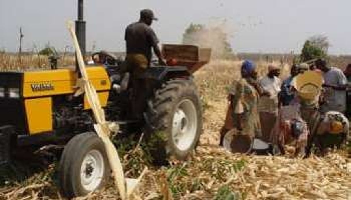 Près de 70 % des petits agriculteurs nigérians n’ont accès à aucun financement. DR