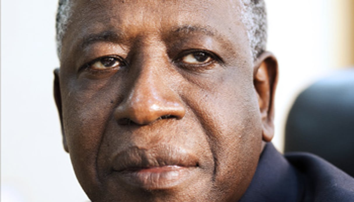 Adama Toungara est ministre des Mines depuis 2011. © Camille Millerand/JA