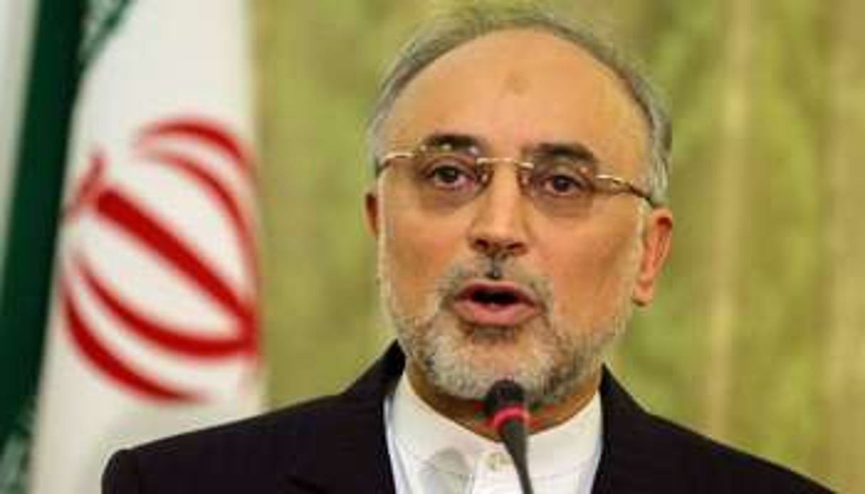 Ali Akbar Salehi, le ministre iranien des Affaires étrangères, en octobre 2012 à Téhéran. © AFP