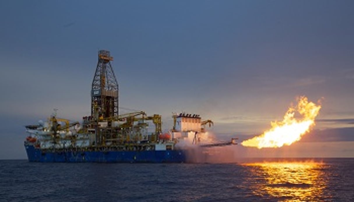 Cette vente est susceptible d’intéresser la plupart des majors pétrolières, dont Royal Dutch Shell, qui a tenté l’an dernier d’acheter les 8,5% détenus par la junior Cove Energy dans le même champ. DR
