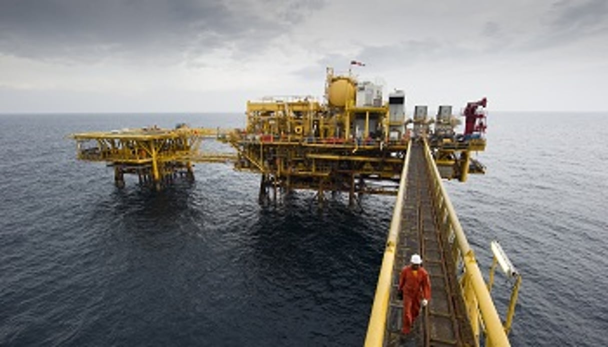 Au Gabon, le FSRG doit développer des filières alternatives au secteur pétrolier. © Dufour Marco/Total