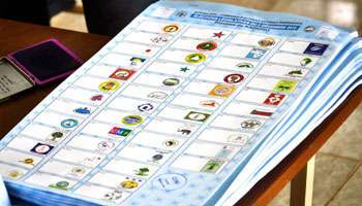 Aux dernières législatives 5 partis ont concentré 80% des suffrages. © Ahmed Ouoba/AFP
