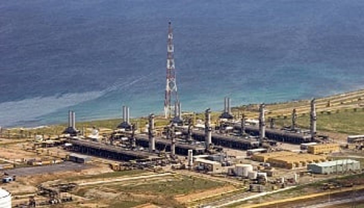 Les hydrocarbures dominent l’économie algérienne avec une contribution au PIB de 38,3 % en 2011. © Sonatrach