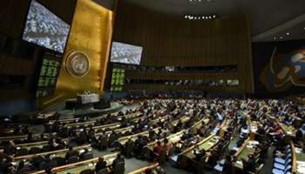 L’Assemblée générale de l’ONU, le 2 avril 2013 à New York. © AFP