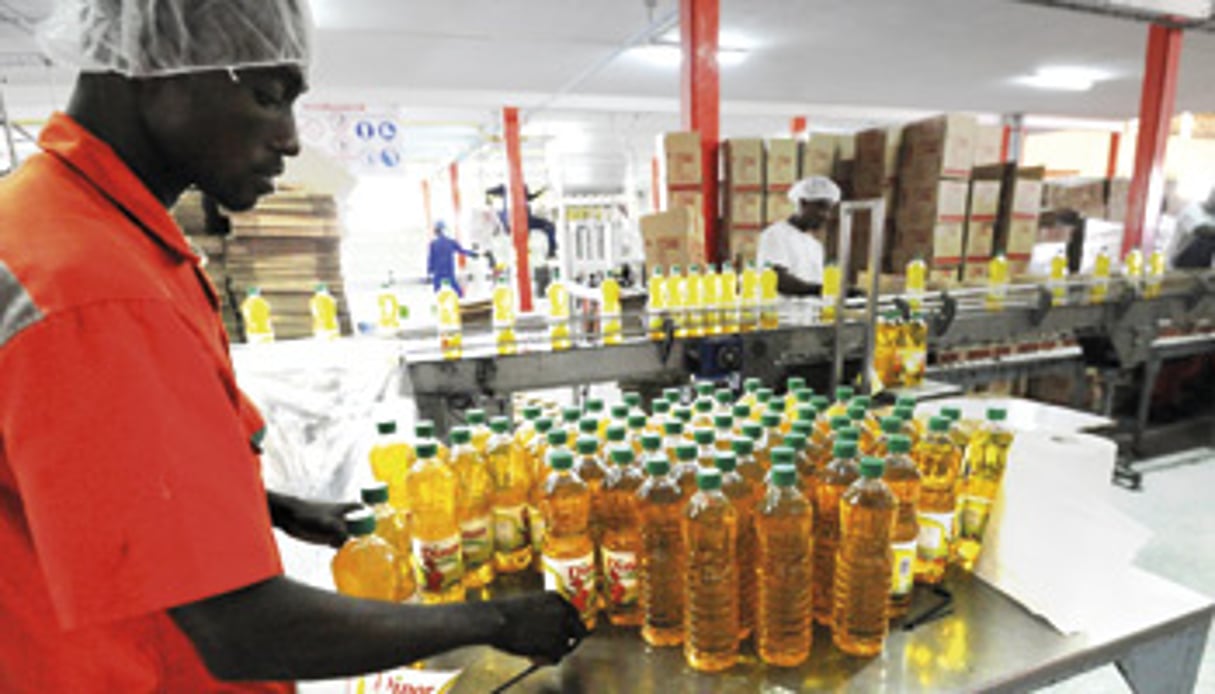 Producteur et distributeur d’huile alimentaire en Afrique de l’Ouest, Sifca s’intéresse aussi à des oléagineux comme l’arachide. © Sia Kambou